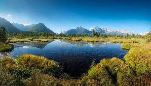 Comment choisir une croisière qui propose des ateliers de photographie de paysages en Patagonie?